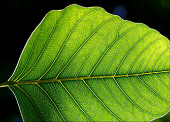 轰炸手机号码软件